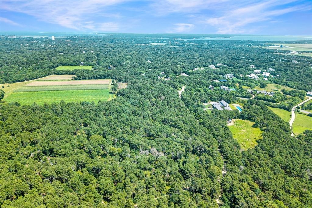 8 Turkeyland Cove Road Edgartown — Photo 7 of 10