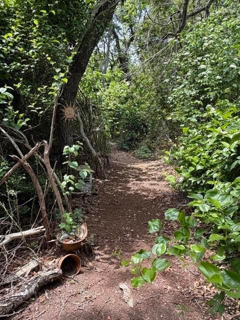 65 Pilgrims Path Eastham — Photo 40 of 42