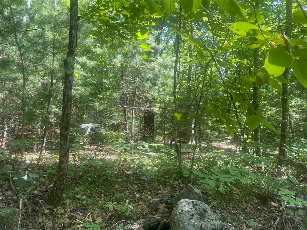 Tract 7 Delargy Rd Hardwick — Photo 10 of 14