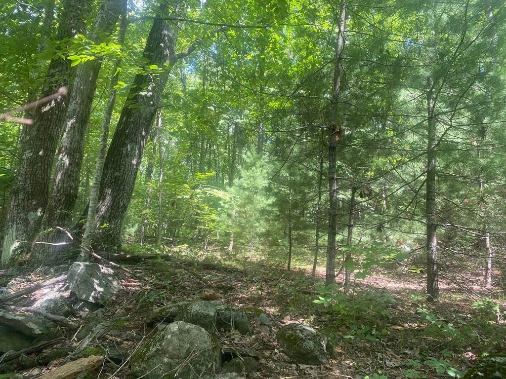 Tract 7 Delargy Rd Hardwick — Photo 11 of 14