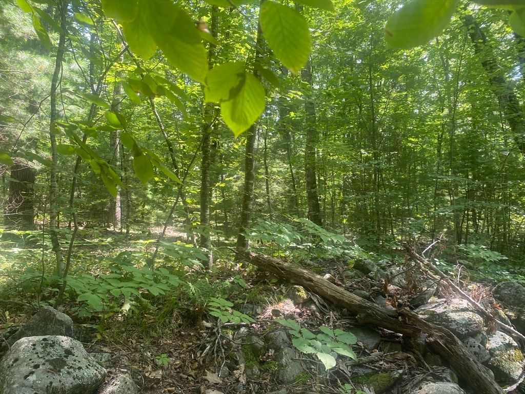 Tract 7 Delargy Rd Hardwick — Photo 15 of 21
