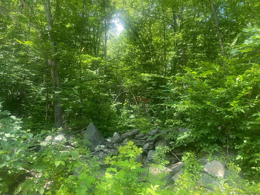 Tract 7 Delargy Rd Hardwick — Photo 2 of 14