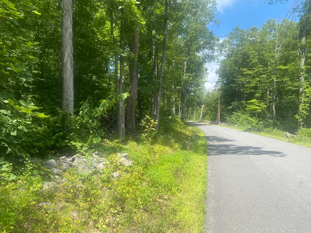 Tract 7 Delargy Rd Hardwick — Photo 3 of 14