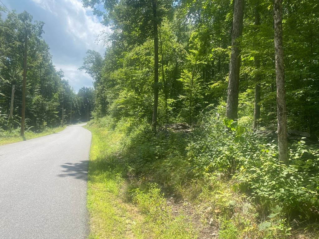 Tract 7 Delargy Rd Hardwick — Photo 4 of 14