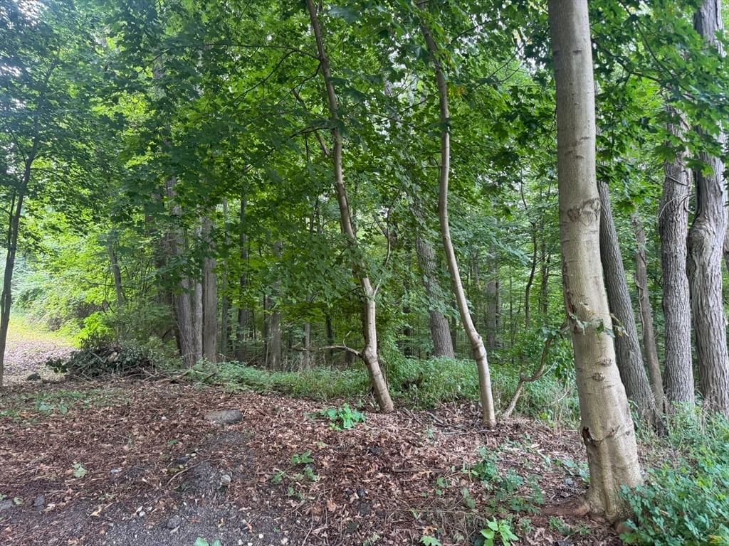 Lot 2 O'neil Drive Westborough — Photo 9 of 10