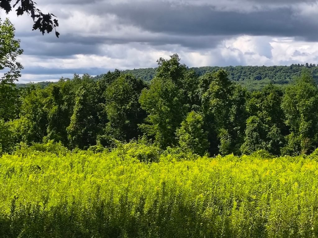 lot A/B Goss Hill Huntington — Photo 2 of 11