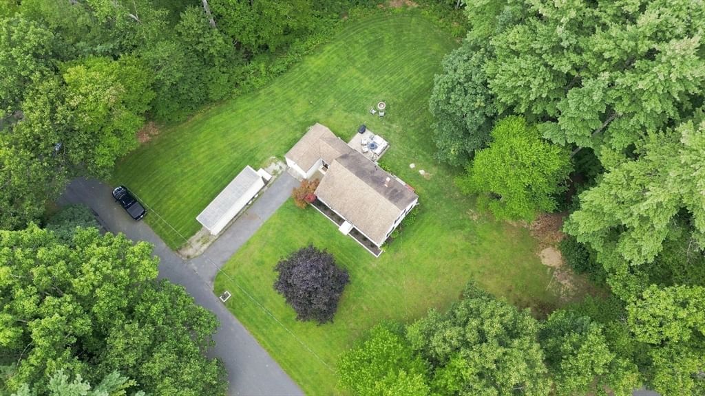 35 Charles St Hampden — Photo 33 of 37