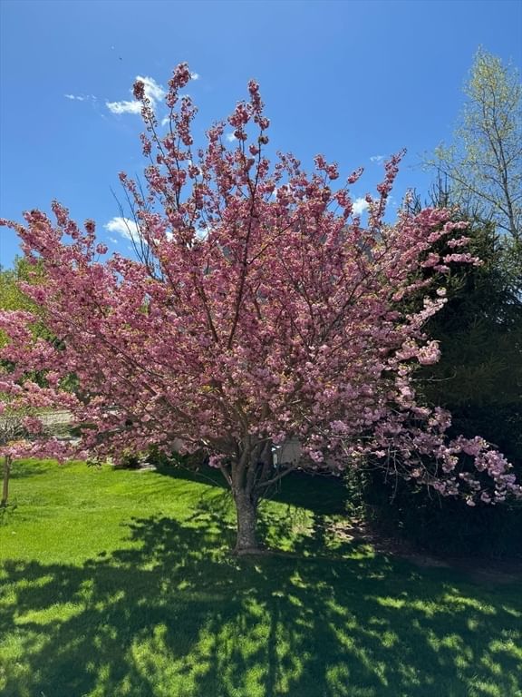 14 Orchard Ln Abington — Photo 30 of 35