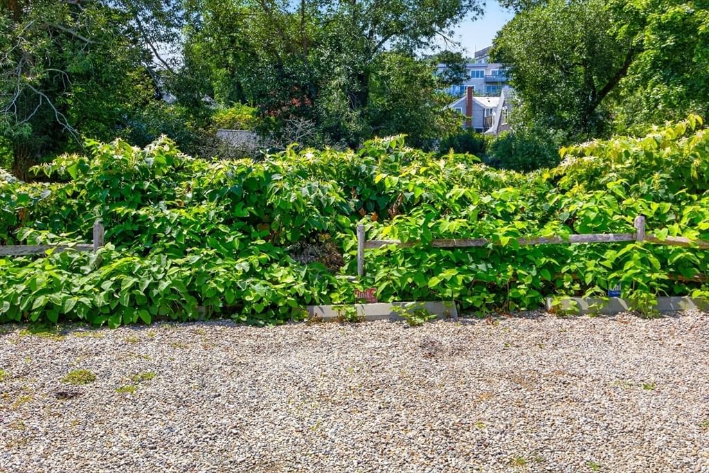 446 Commercial Street #Unit 2 Provincetown — Photo 33 of 39