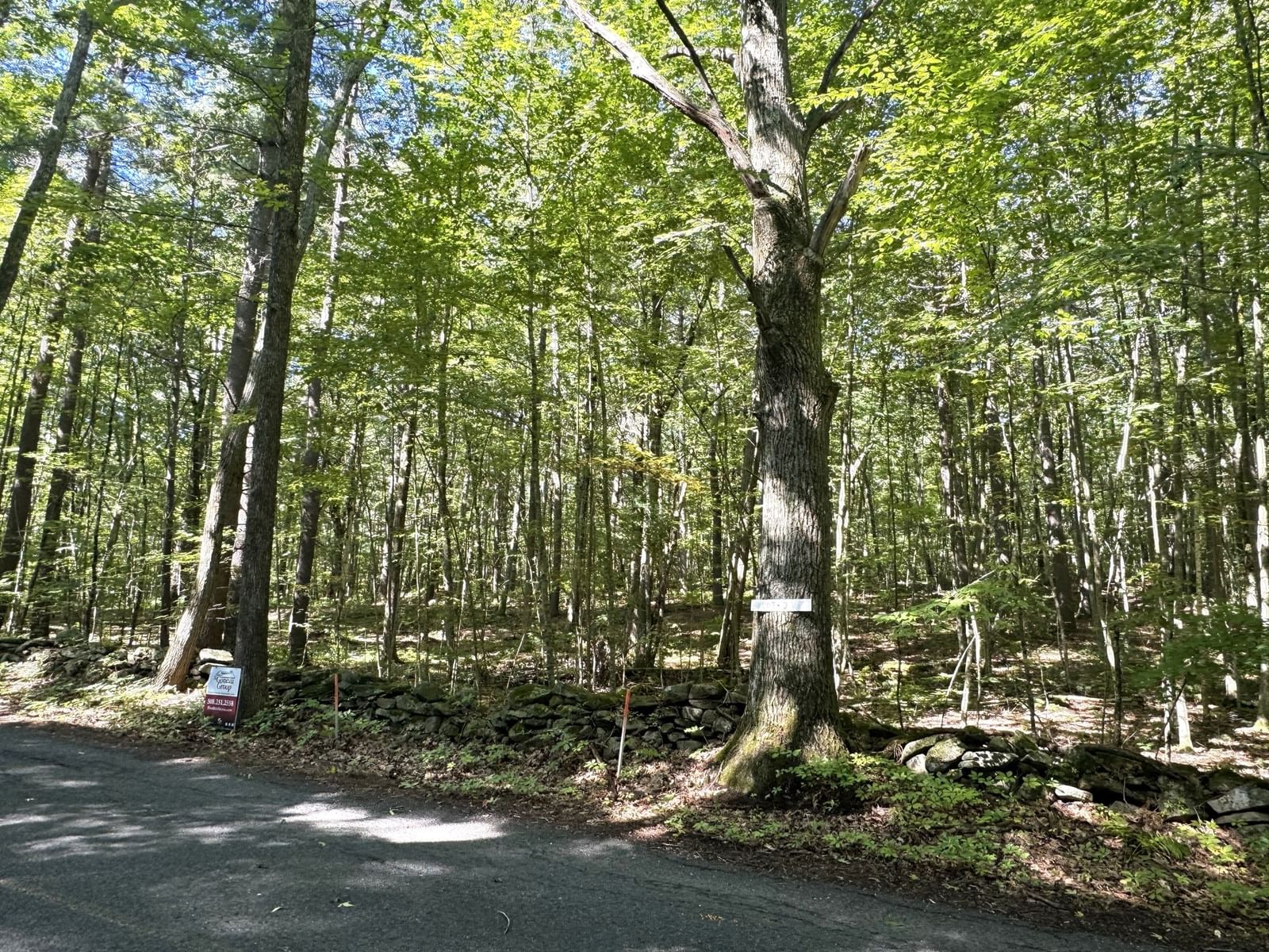 Lot 2 Daniels Road Charlton — Photo 4 of 5
