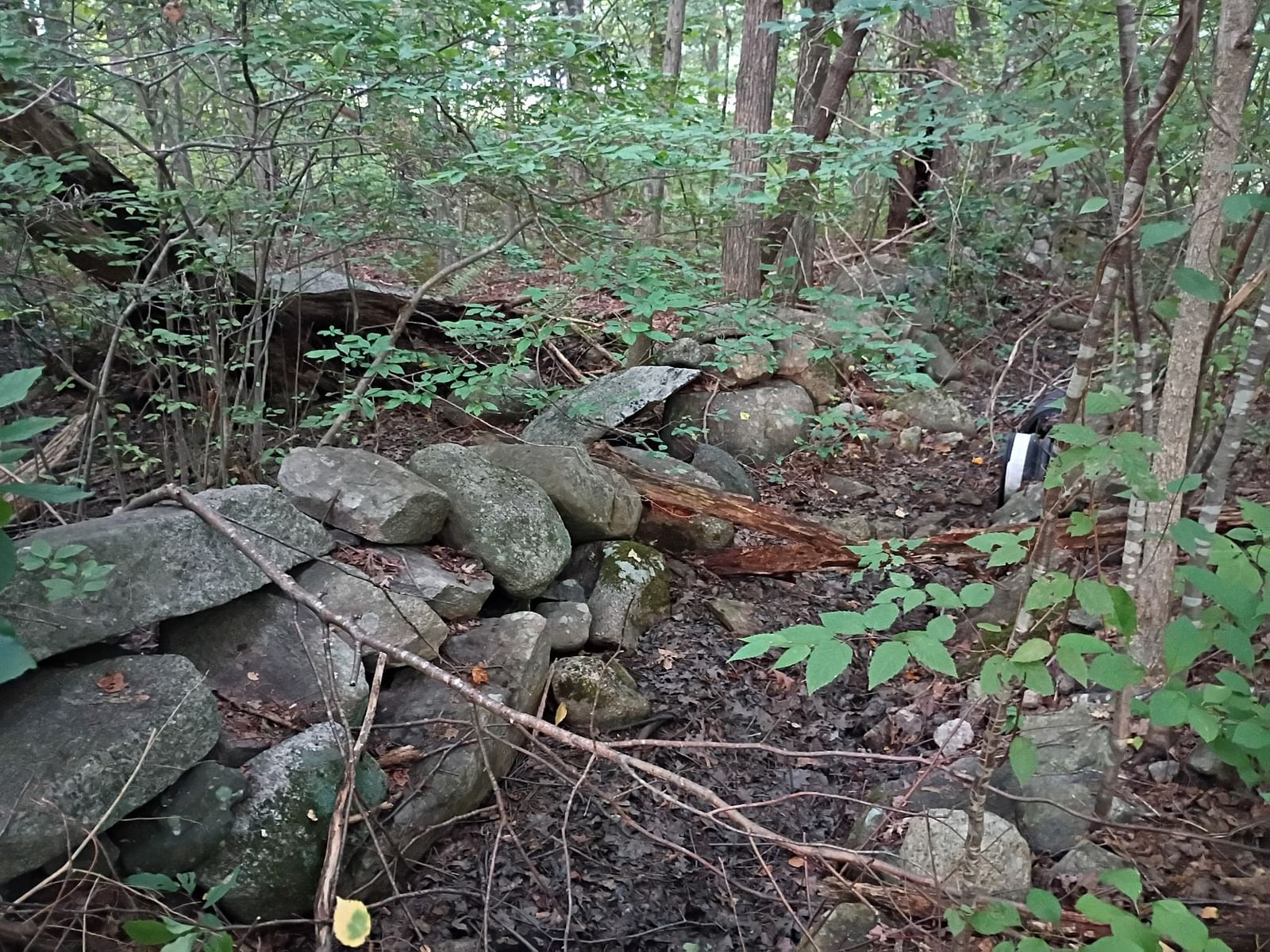 522 Chestnut Hill Millville — Photo 12 of 22