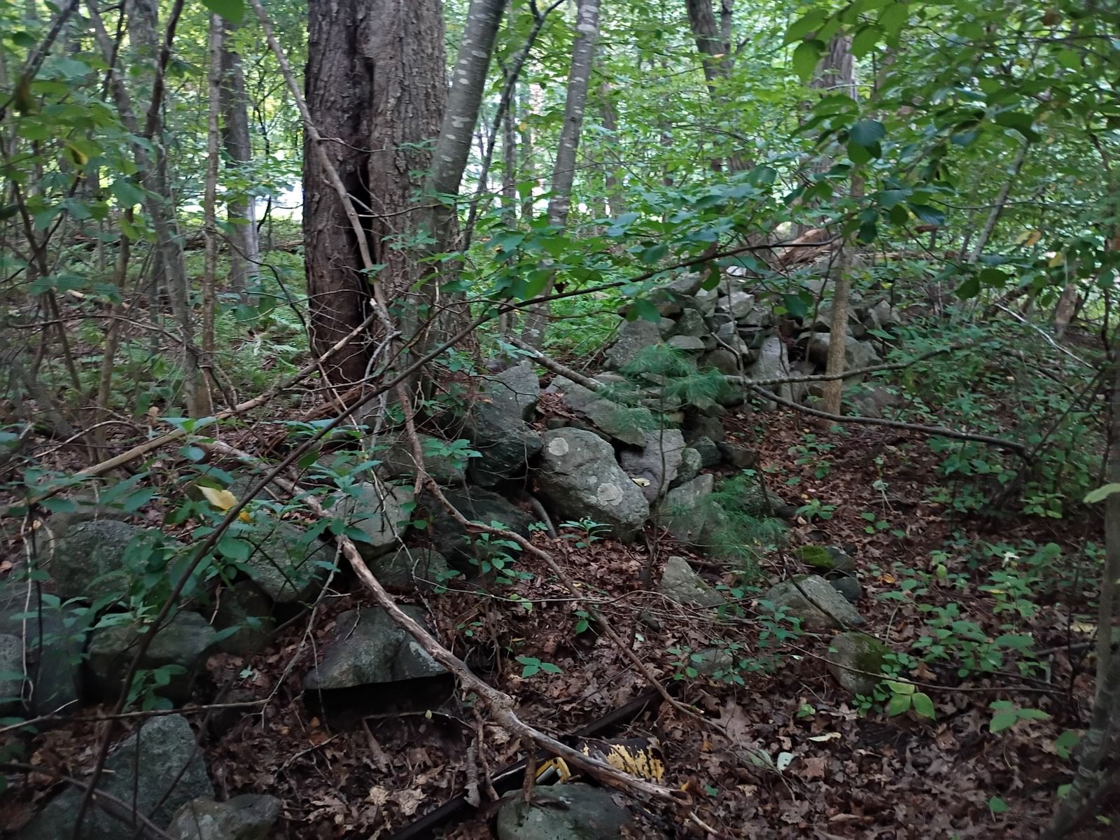 522 Chestnut Hill Millville — Photo 14 of 22