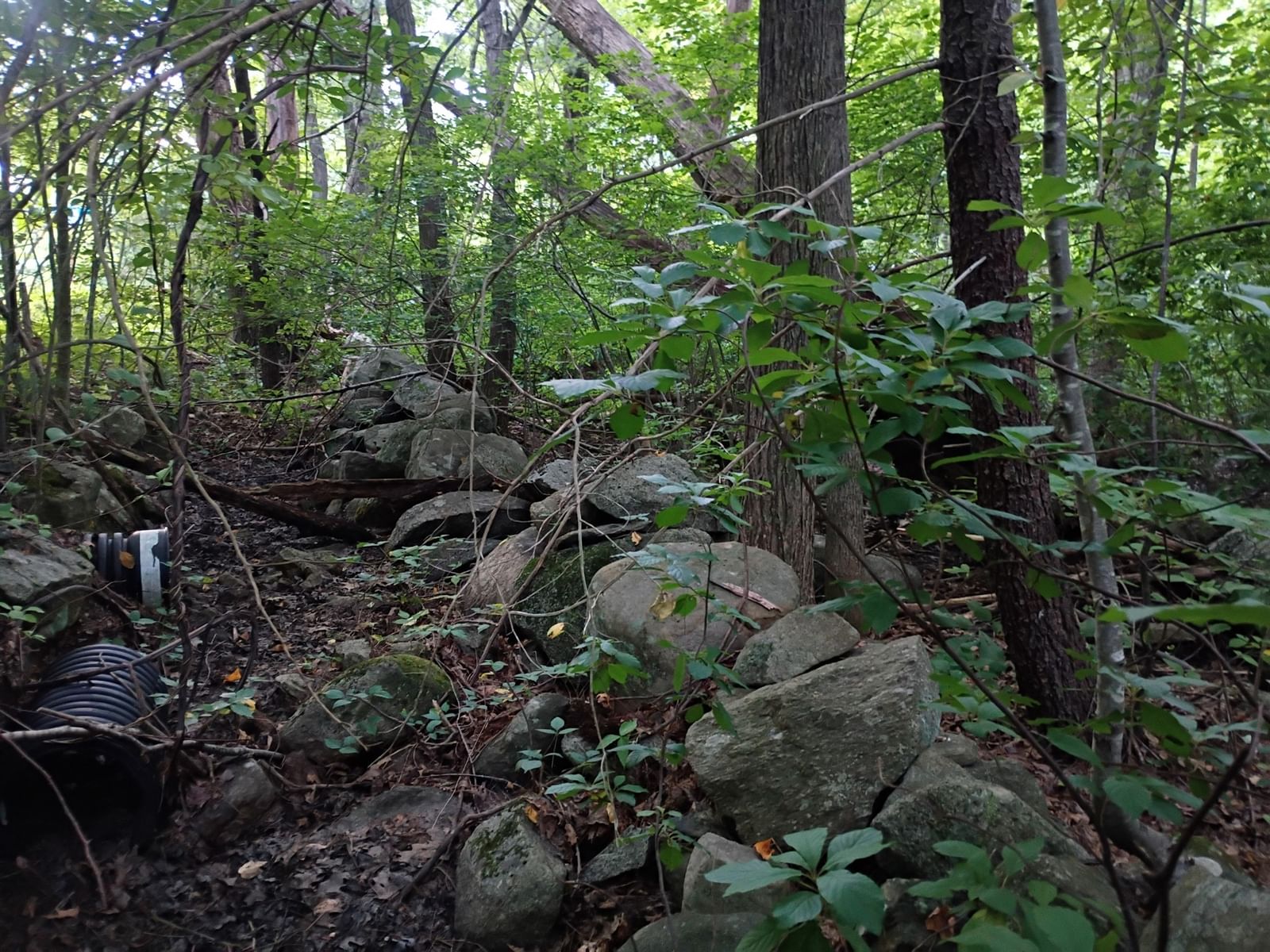 522 Chestnut Hill Millville — Photo 15 of 22
