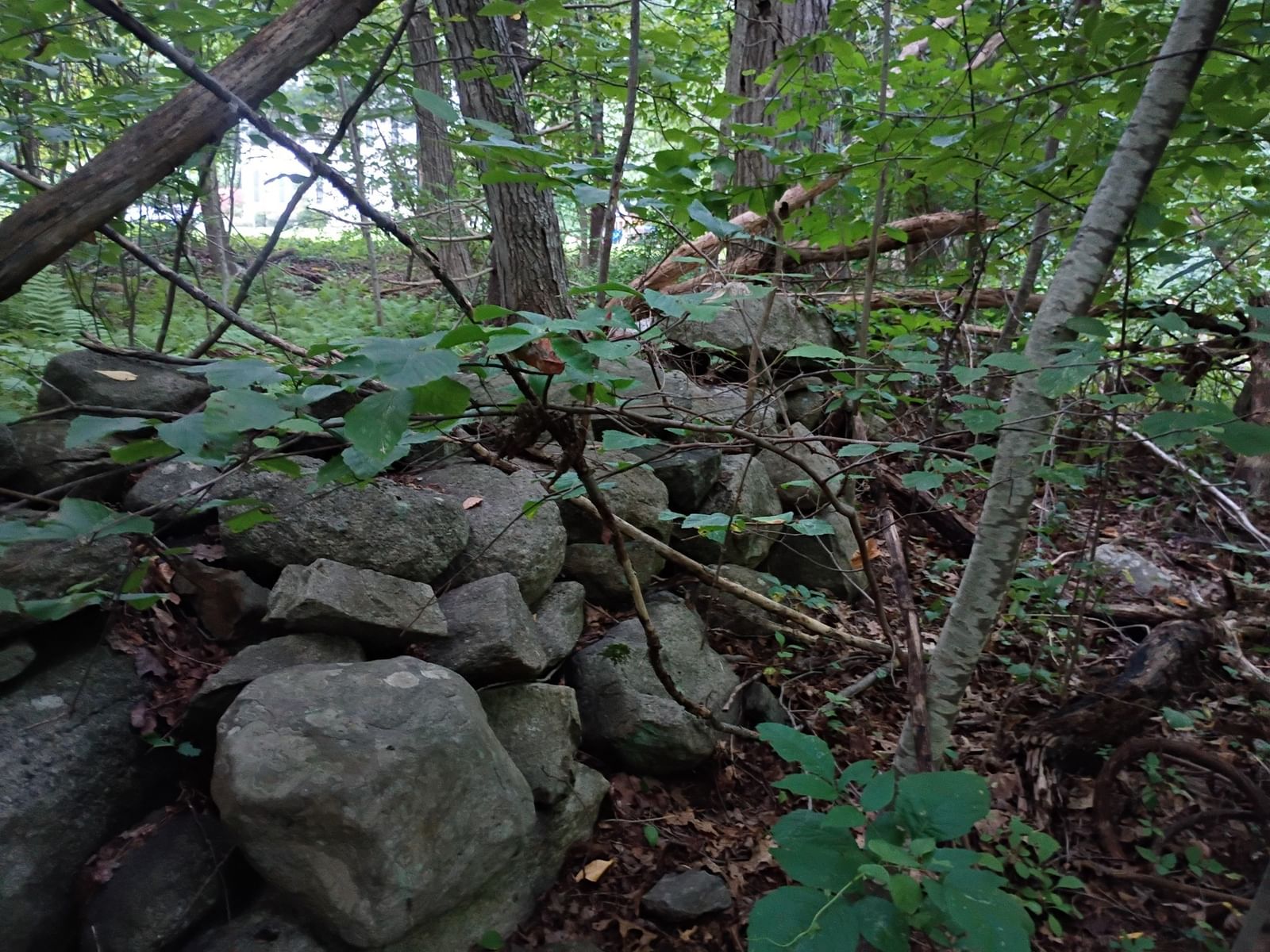 522 Chestnut Hill Millville — Photo 16 of 22