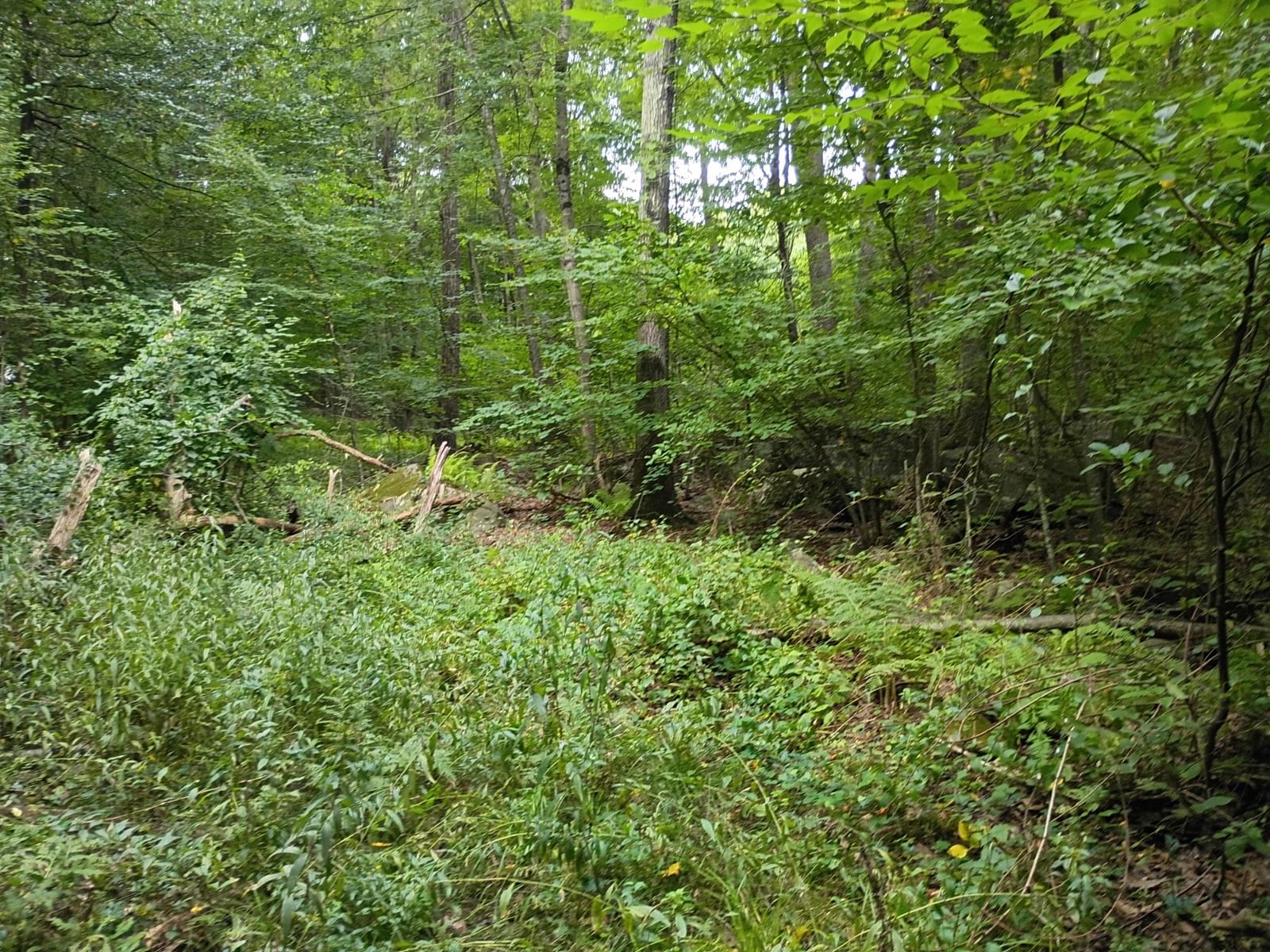 522 Chestnut Hill Millville — Photo 18 of 22