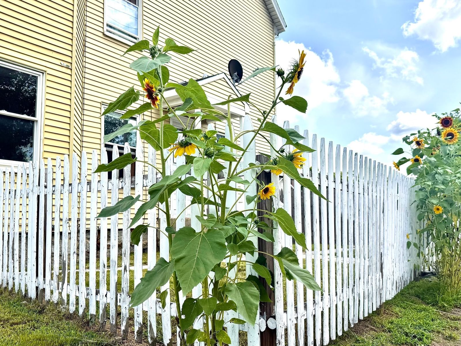 272 South Street Fitchburg — Photo 6 of 41