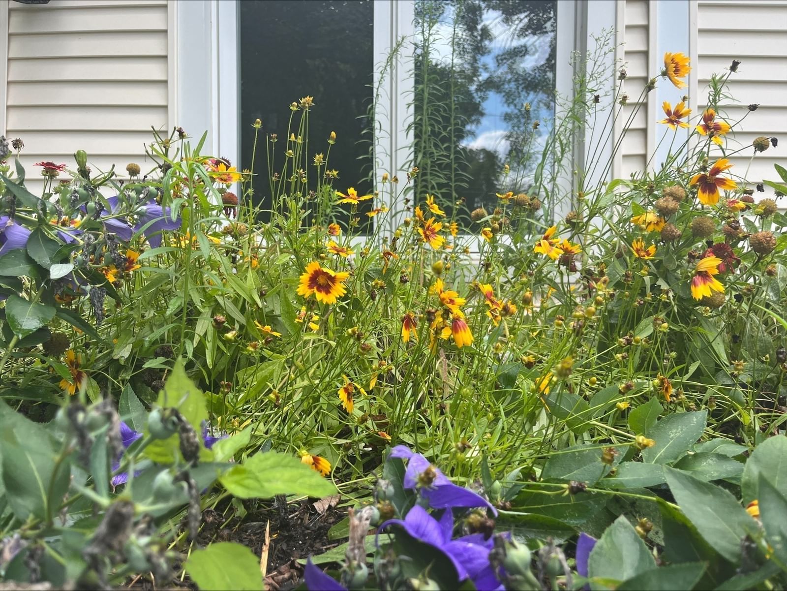 18 Highland Park Drive West Springfield — Photo 36 of 36