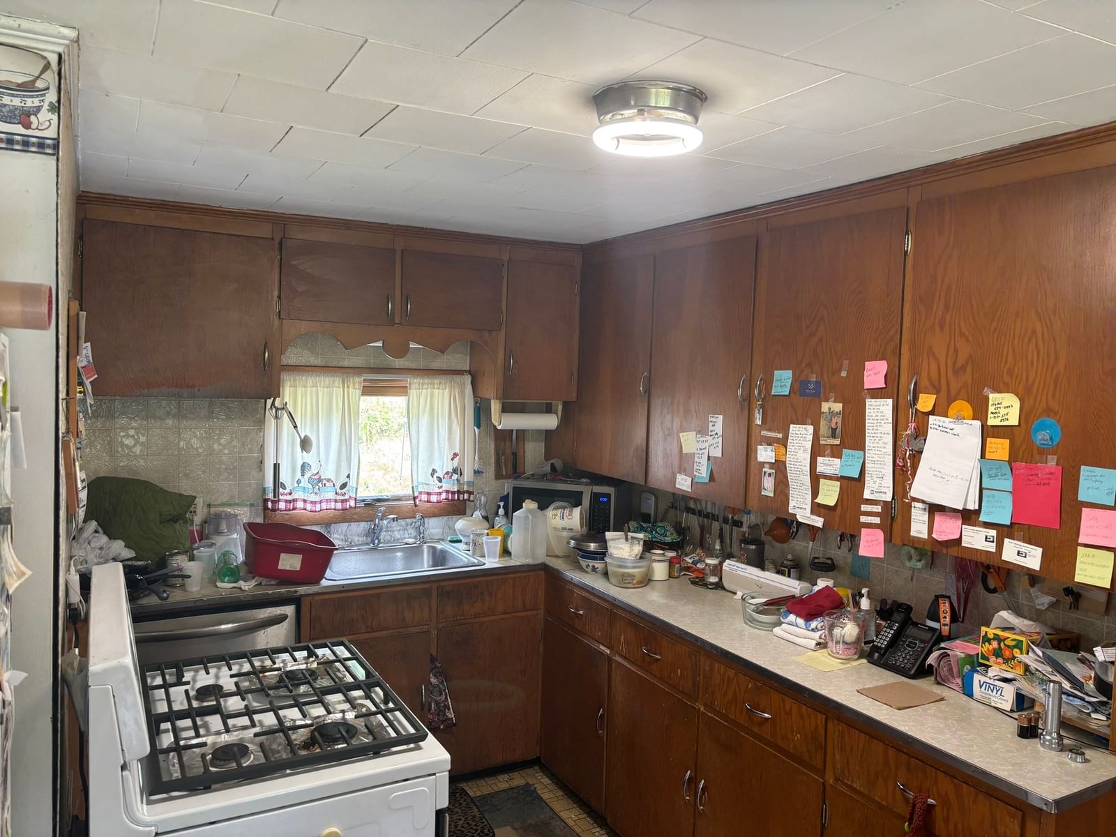22 Cyd Alan St Palmer — Photo 15 of 17