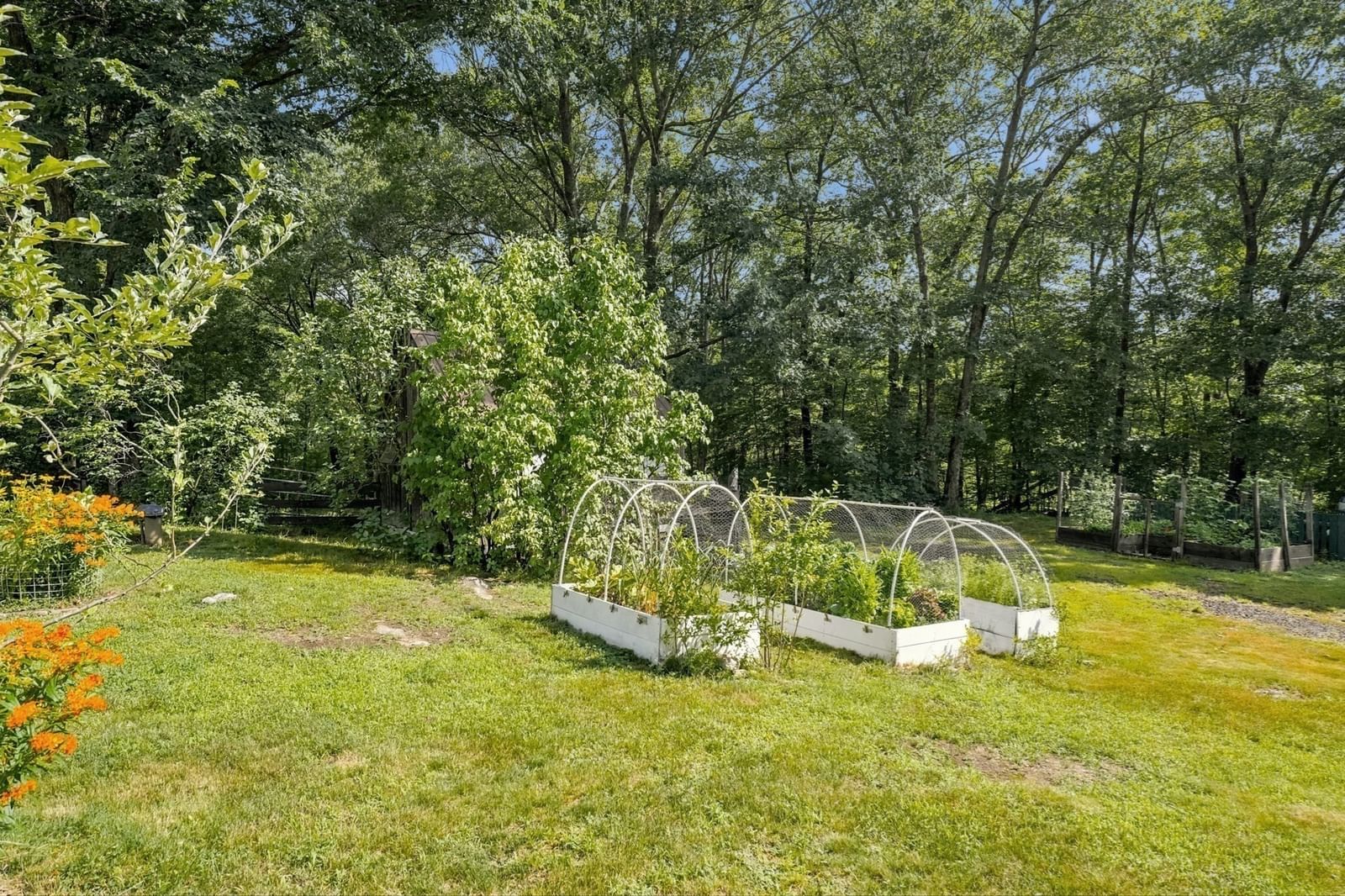17 Spring Hill Rd Newbury — Photo 36 of 42