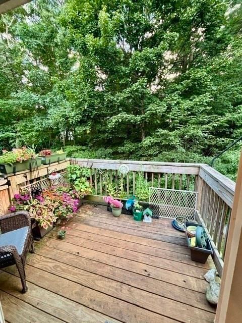6 Meadowbrook Ln #4 Easton — Photo 2 of 20