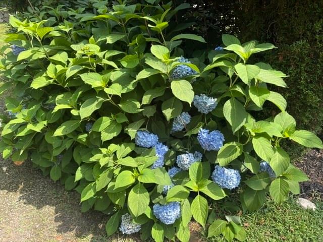 6 Greentree Lane Newbury — Photo 3 of 30