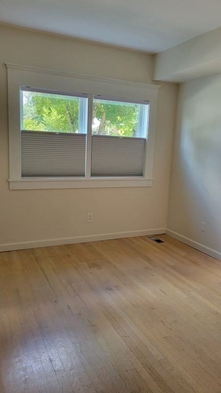 8 Damon Wayland — Photo 31 of 41