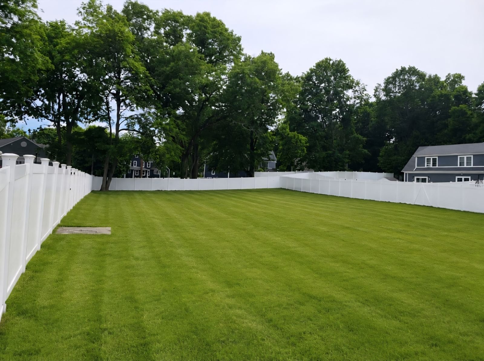 8 Damon Wayland — Photo 41 of 41