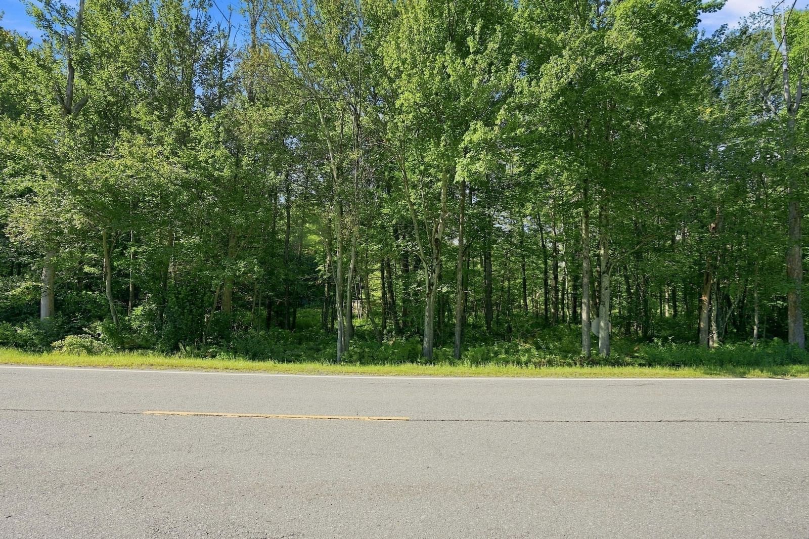 32 Berkshire Trail E Williamsburg — Photo 2 of 9