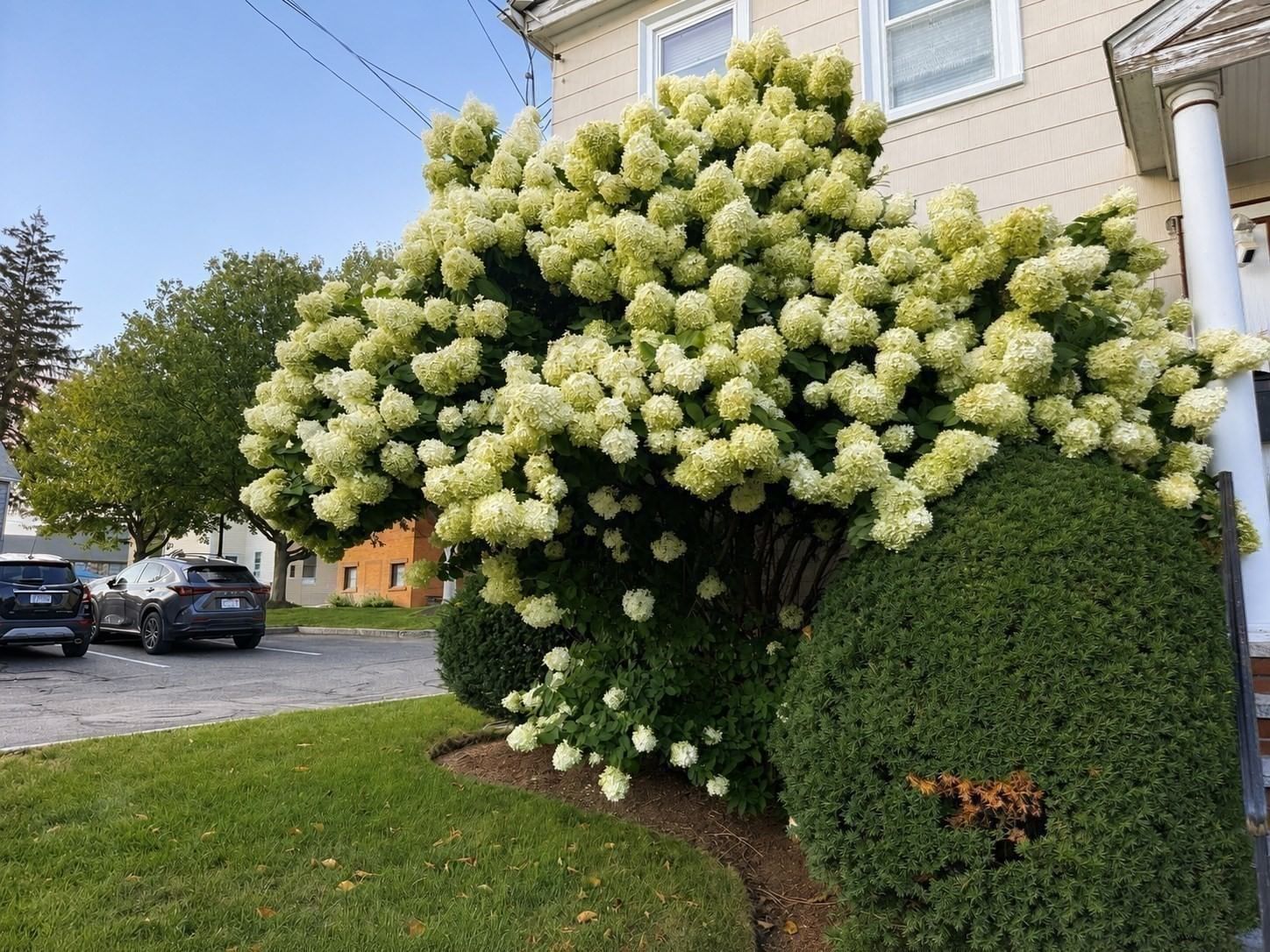 57 Pleasant St. #B Watertown — Photo 16 of 21