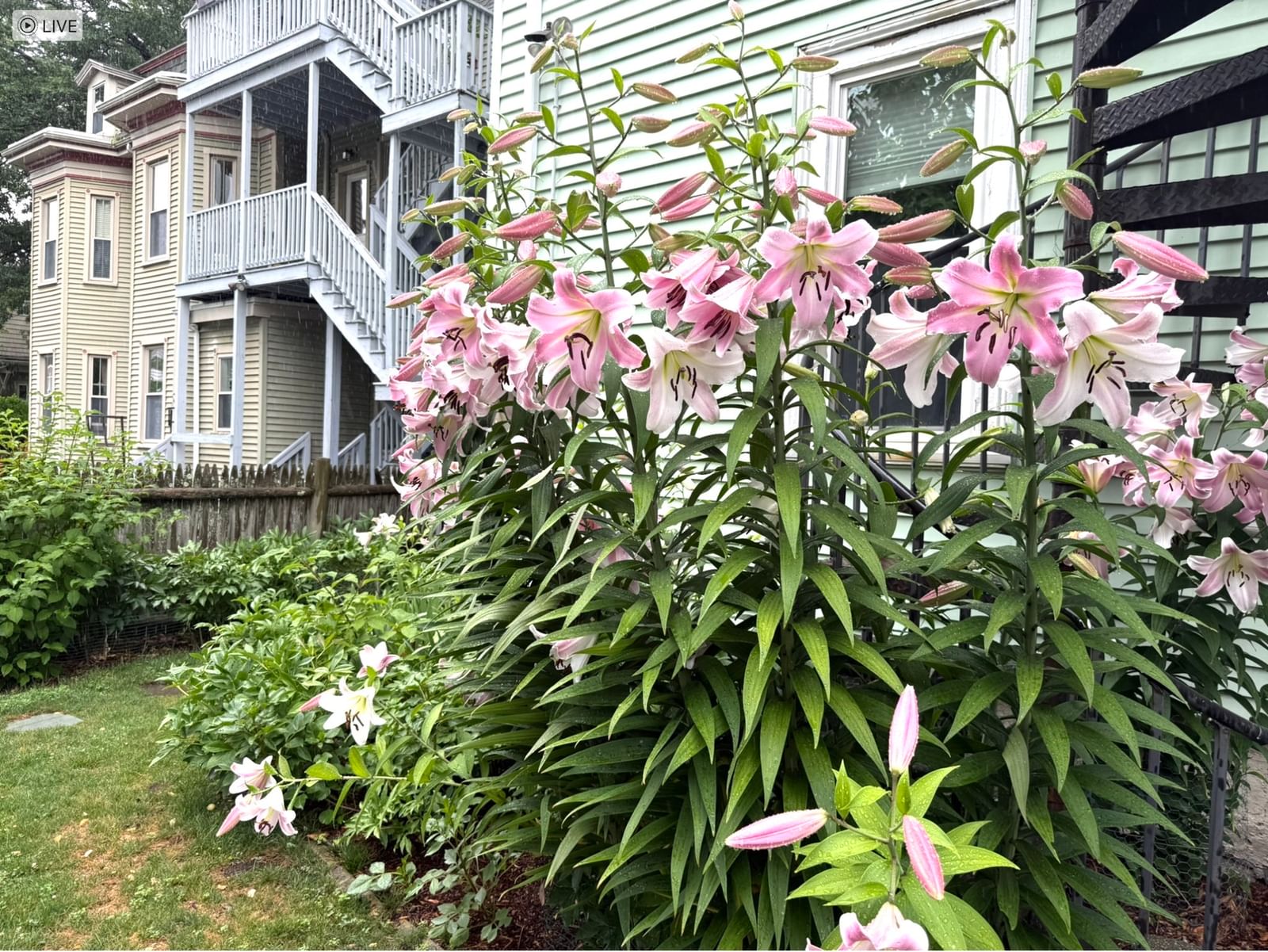 9 Peabody St #9 Newton — Photo 18 of 20