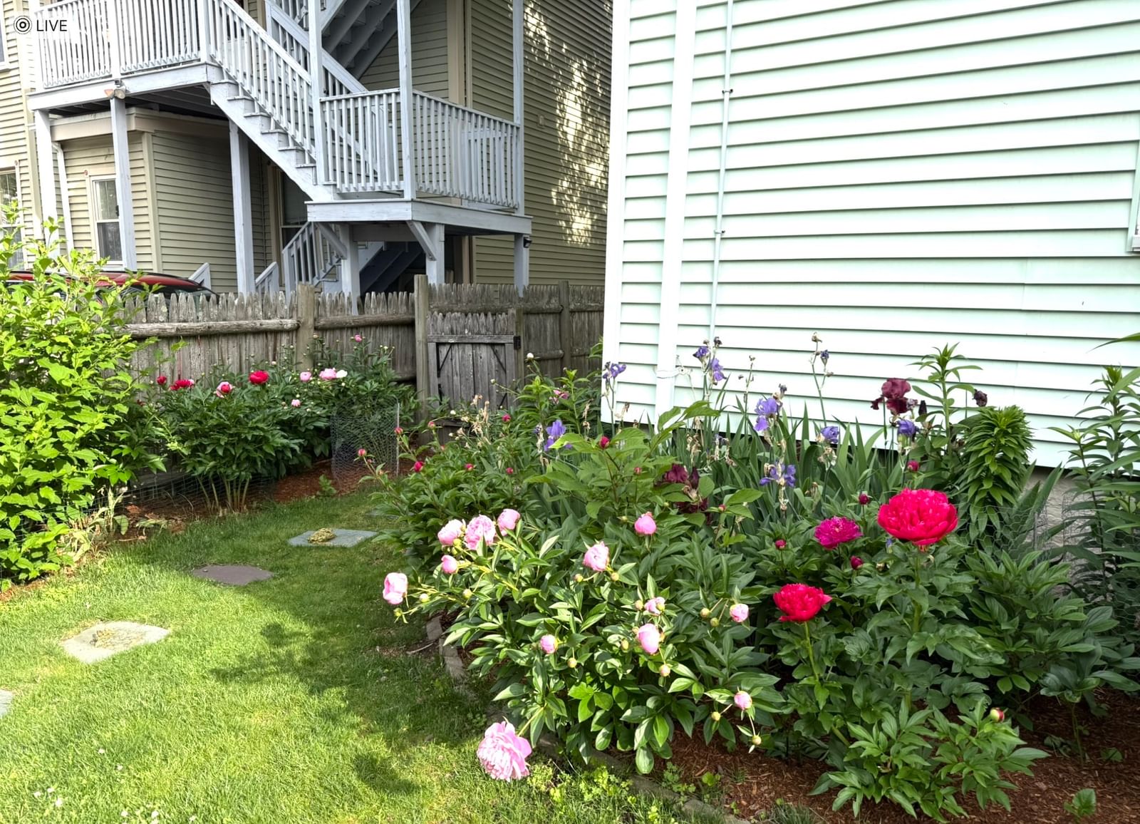 9 Peabody St #9 Newton — Photo 19 of 20