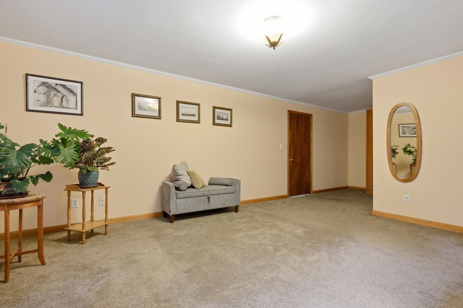 7 Gambier Street Newton — Photo 20 of 38