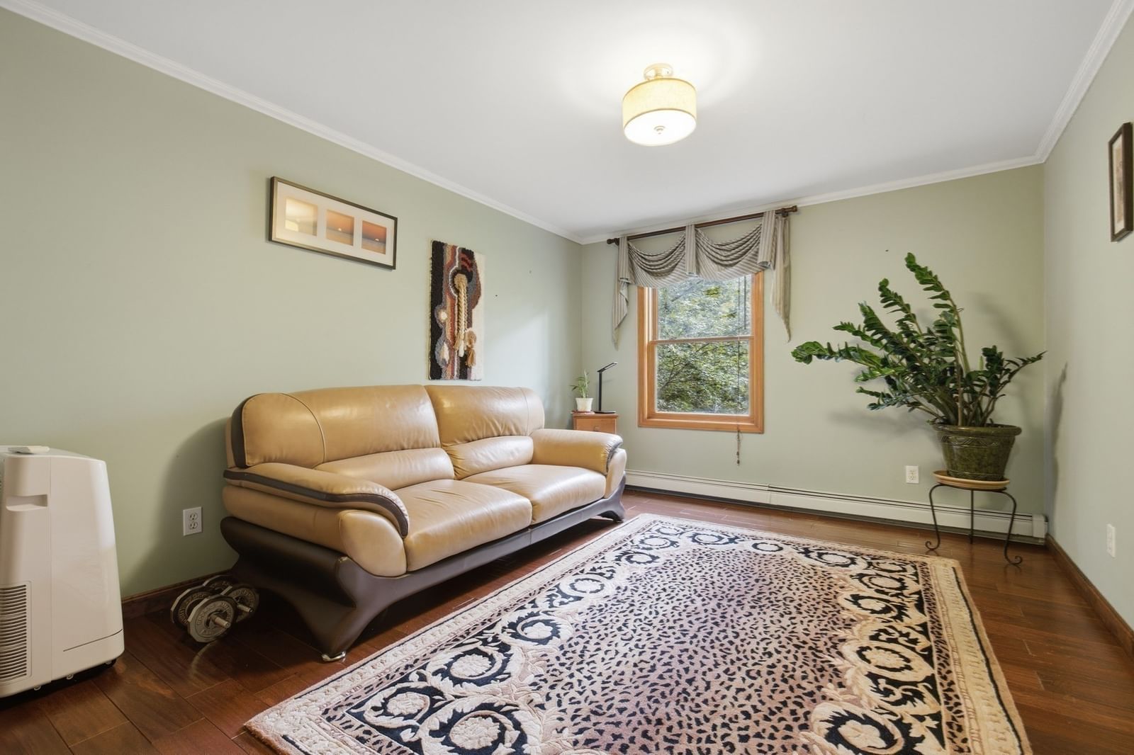 7 Gambier Street Newton — Photo 21 of 38