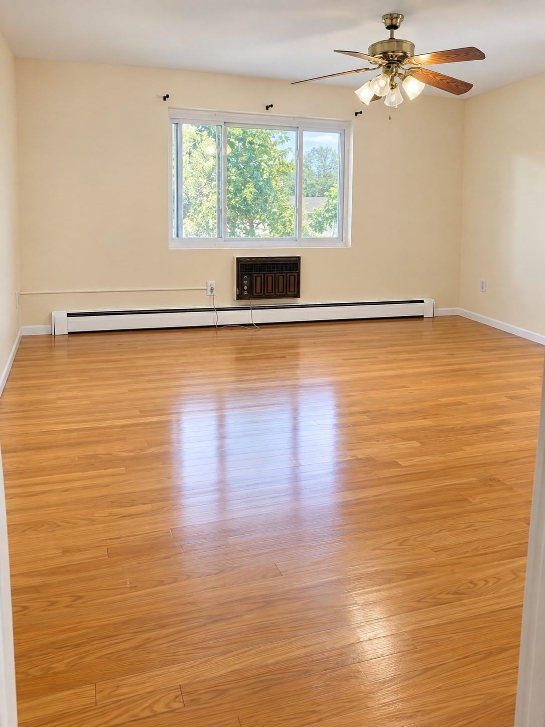 66 Bryon Rd #5 Boston — Photo 3 of 13
