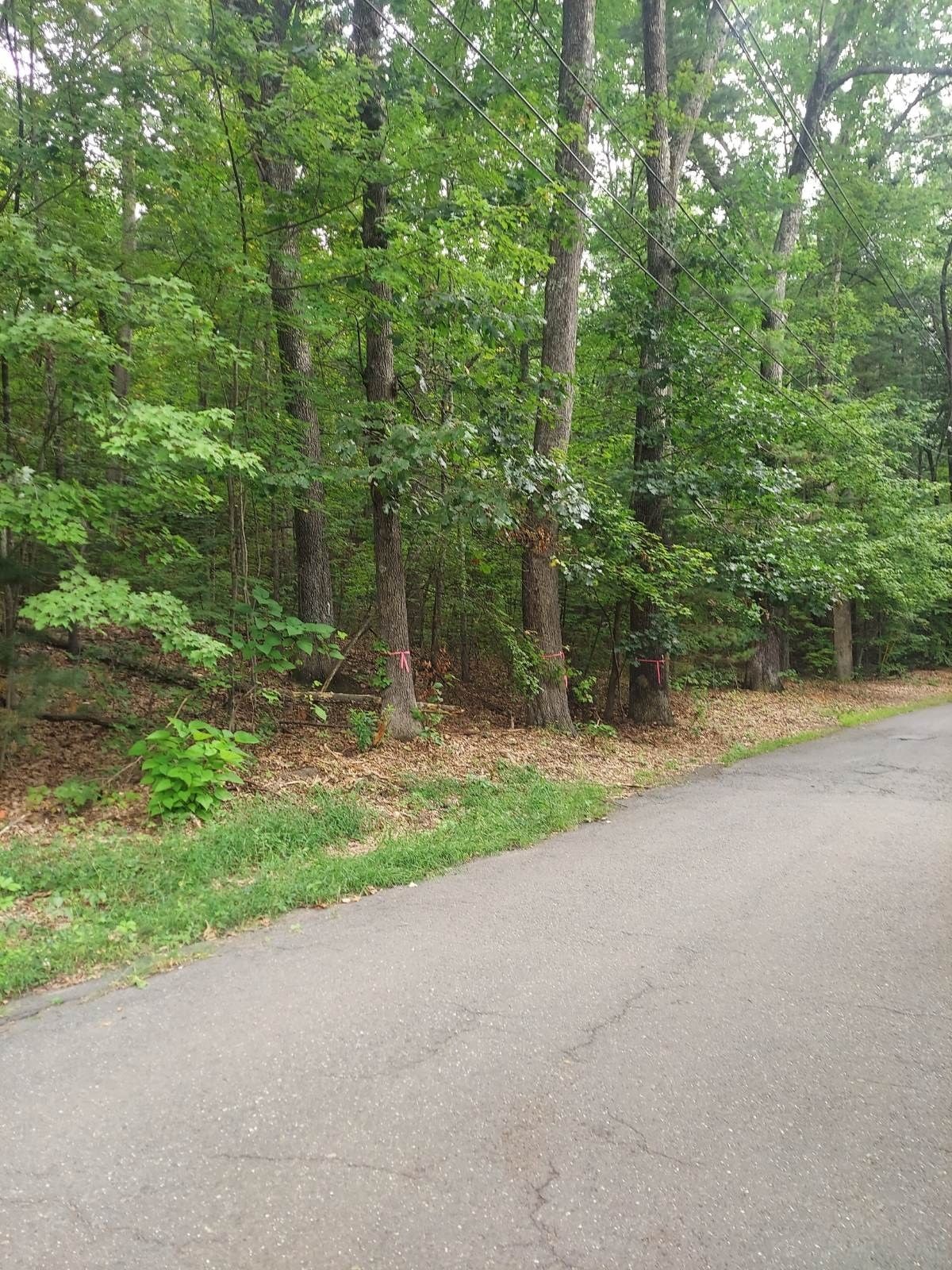 1005 Park Hill Road Northampton — Photo 1 of 4