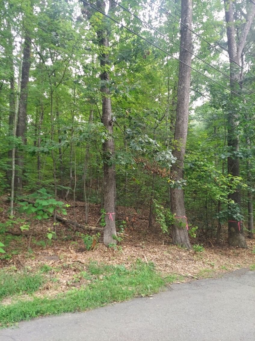 1005 Park Hill Road Northampton — Photo 3 of 4