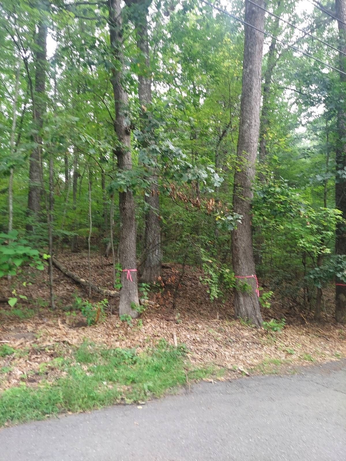 1005 Park Hill Road Northampton — Photo 4 of 4