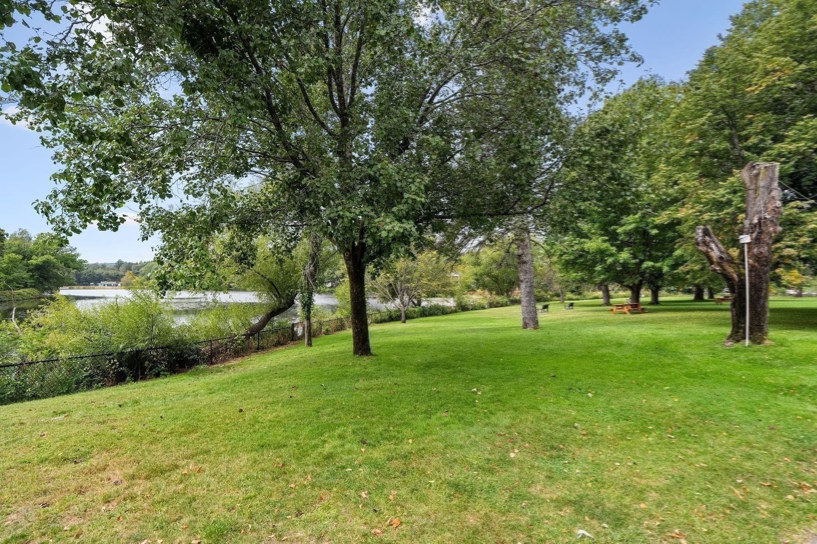 Listing Image 34