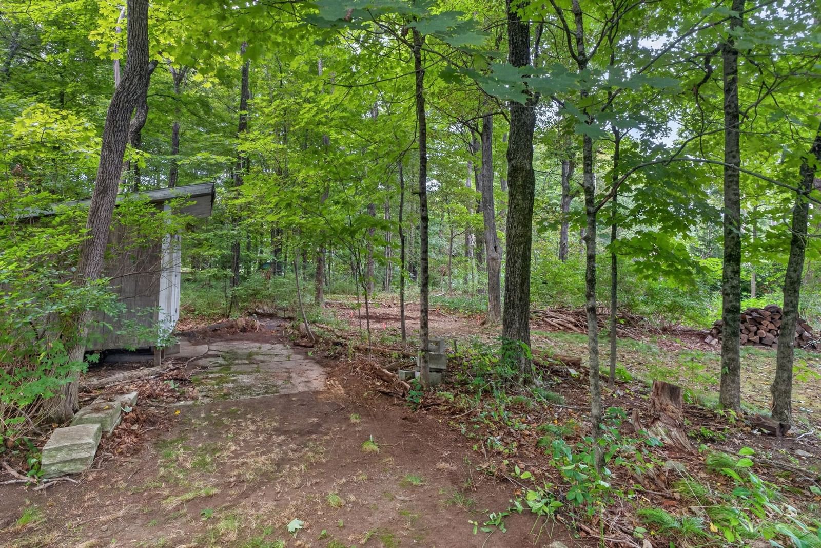 5 Robert Sproul Rd Medfield — Photo 31 of 41