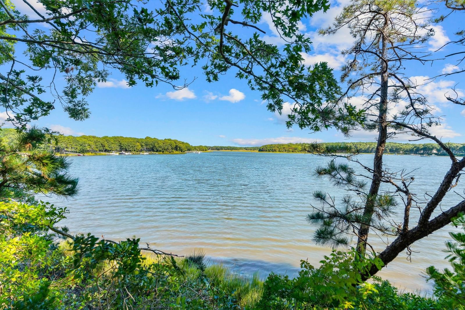 71 Tide Run Mashpee — Photo 4 of 18
