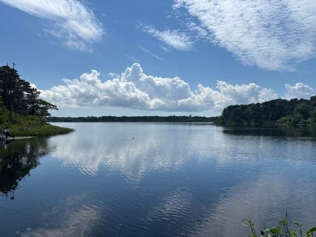 455 Kingsbury Beach Rd Eastham — Photo 18 of 27