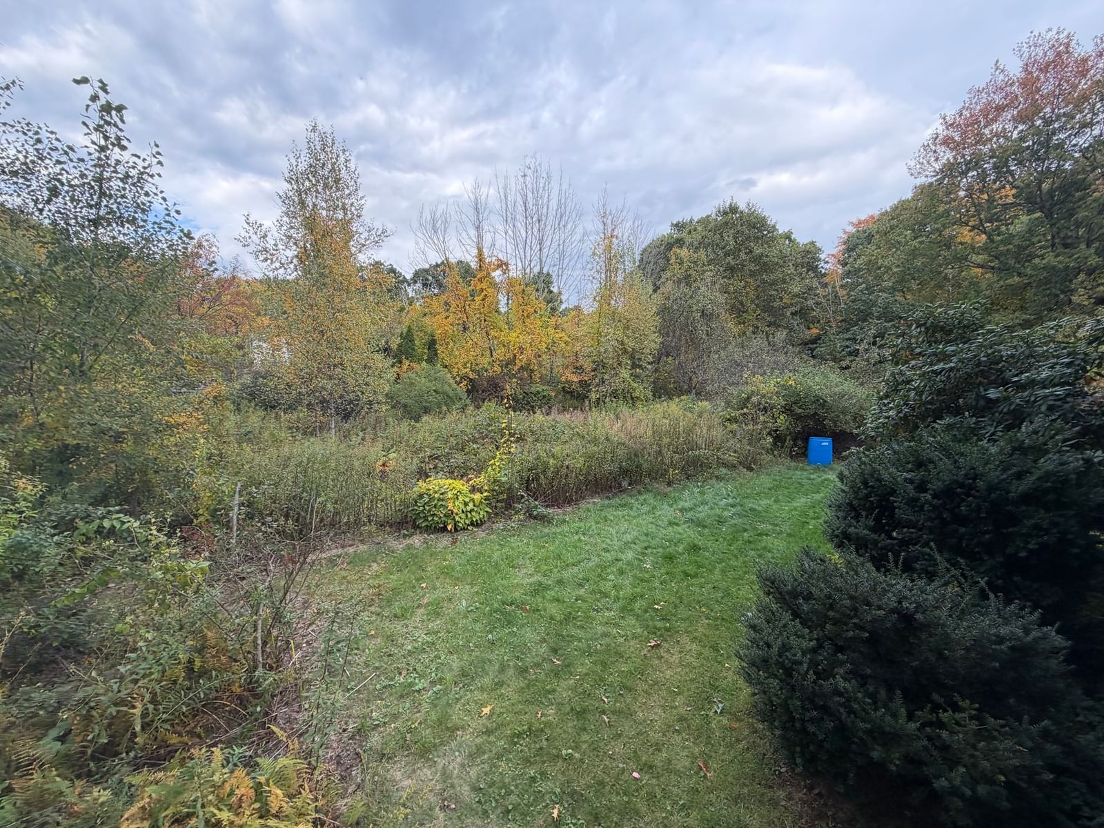 152 Pierce Rd West Brookfield — Photo 41 of 42