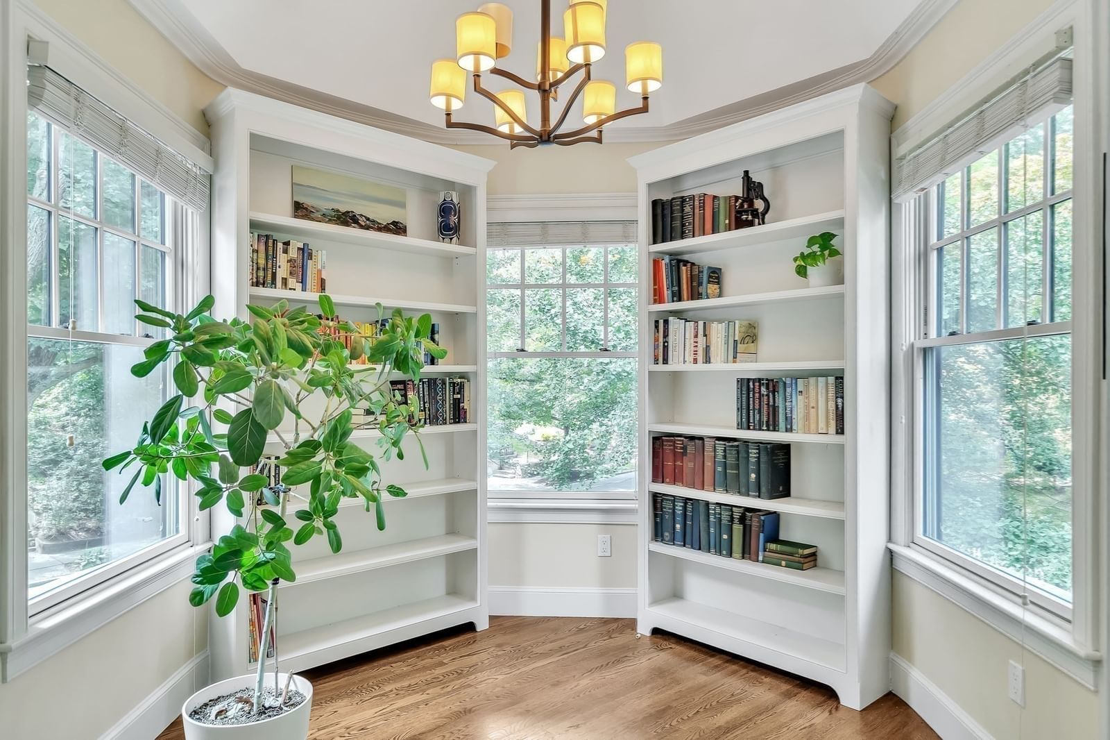 131 Winchester St #131 Brookline — Photo 7 of 23
