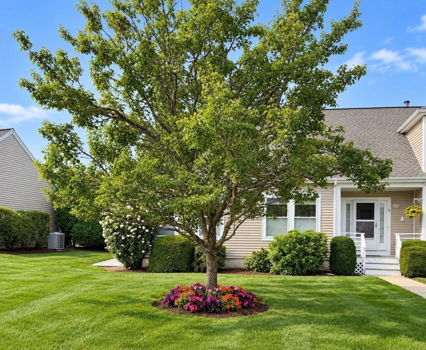 36 Bay Pointe Dr Ext #36 Wareham — Photo 18 of 18