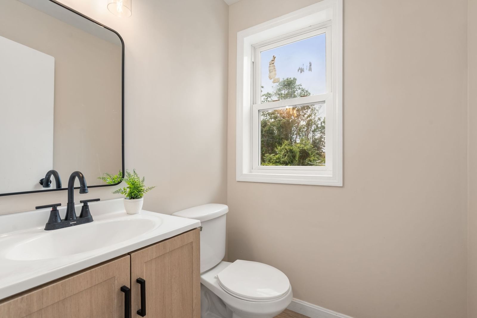 28 Dawes St Springfield — Photo 14 of 42