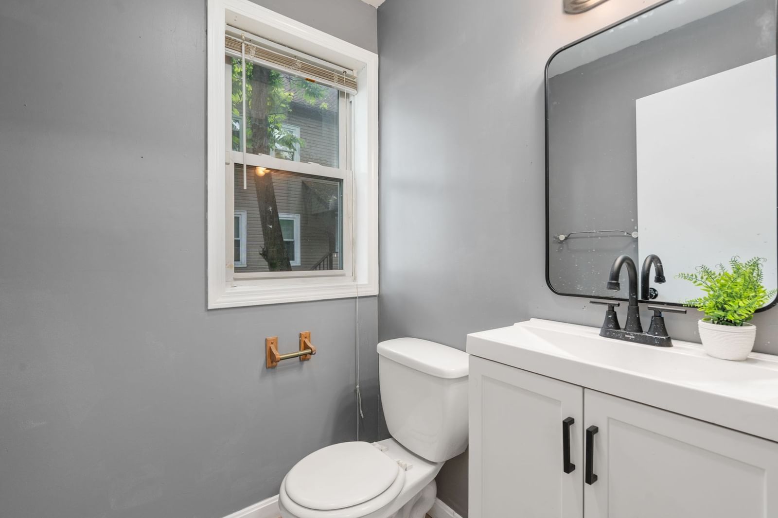 28 Dawes St Springfield — Photo 26 of 42