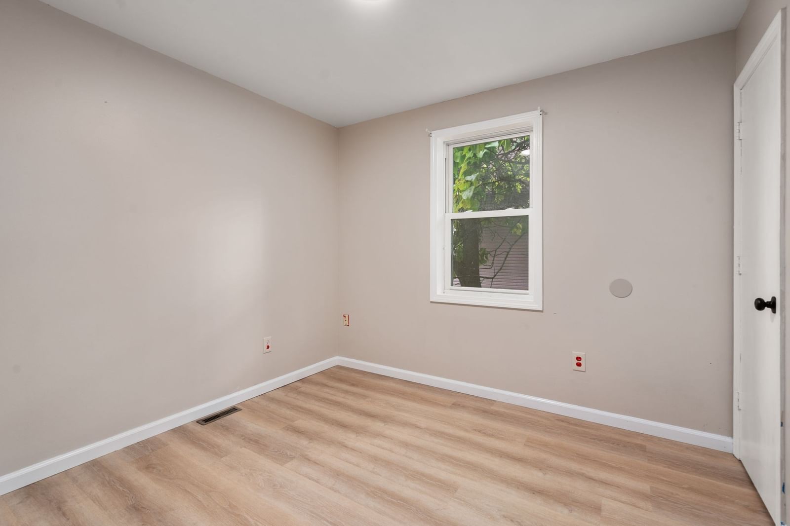 28 Dawes St Springfield — Photo 34 of 42