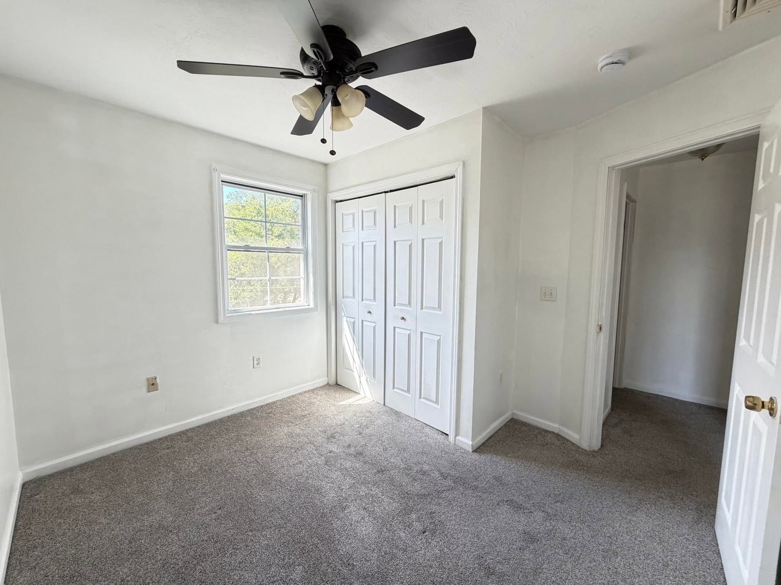 52-54 Reed St Springfield — Photo 14 of 21