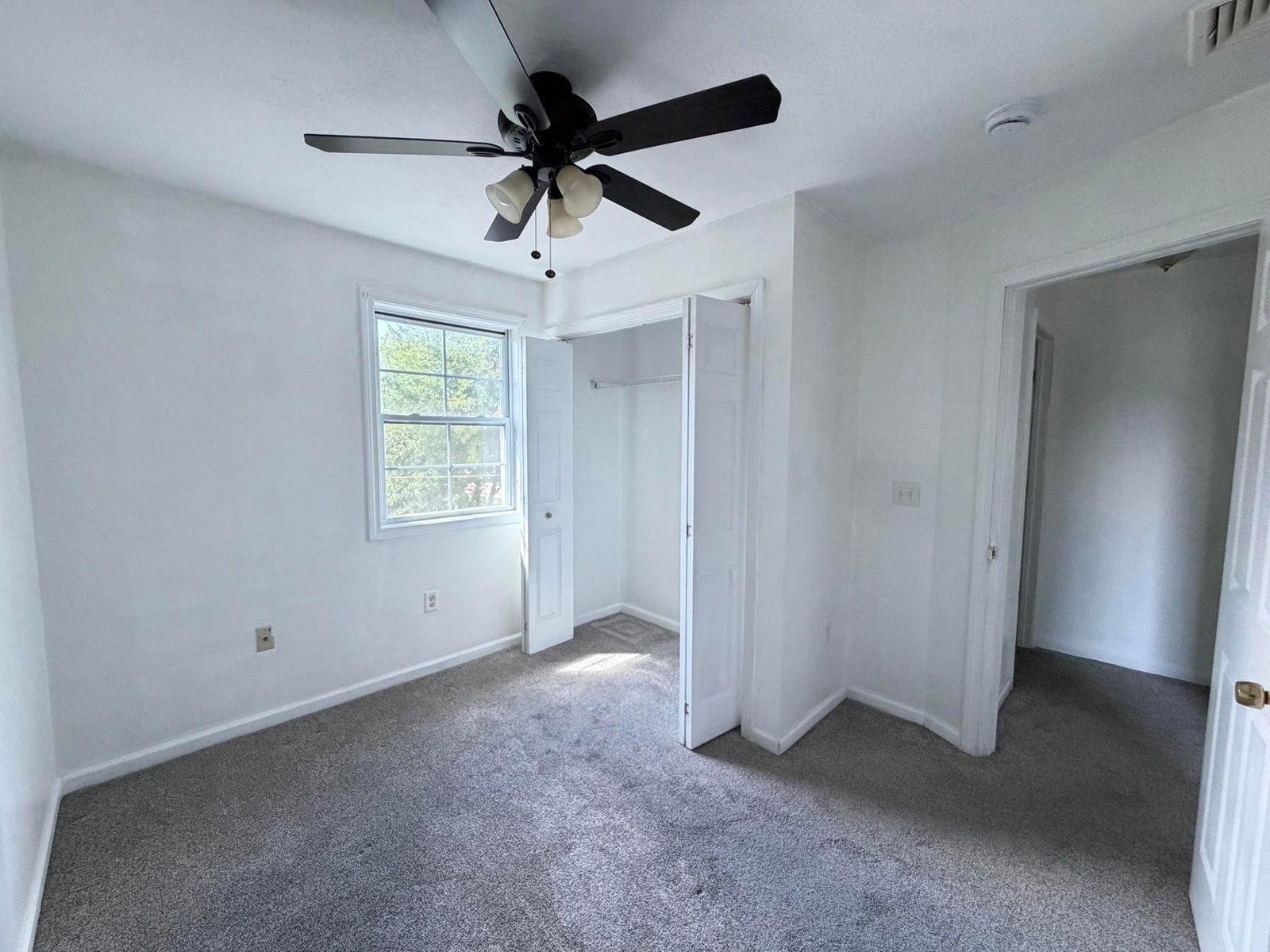 52-54 Reed St Springfield — Photo 15 of 21