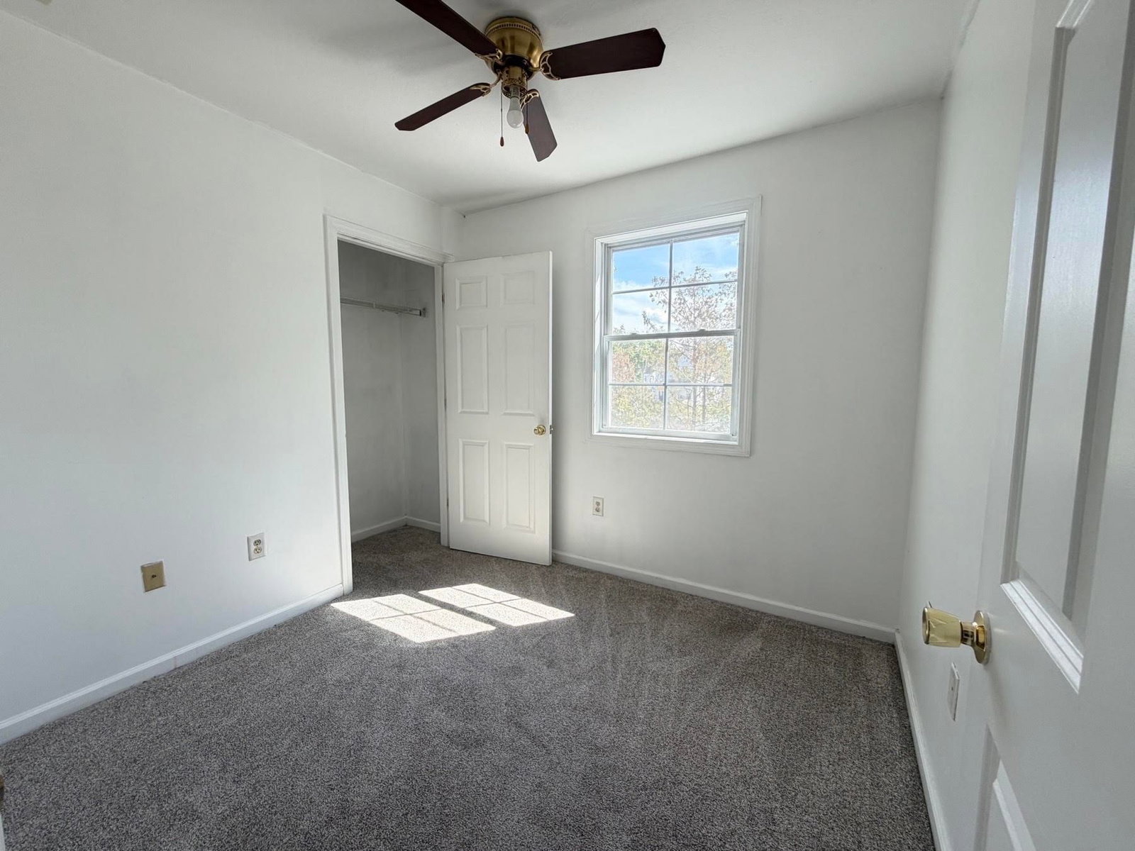 52-54 Reed St Springfield — Photo 16 of 21